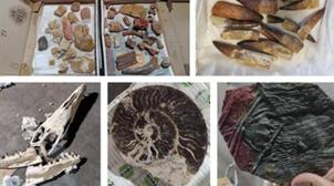Casablanca-Settat : Mise en échec d'une tentative d’exportation illicite de prè…
