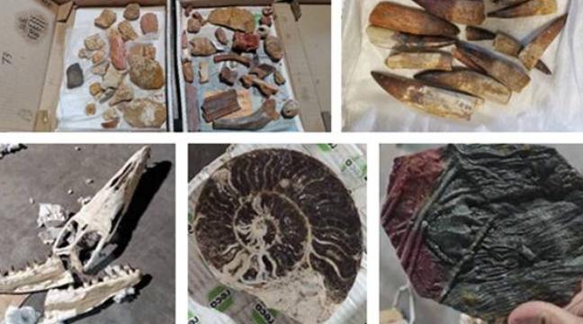 Casablanca-Settat : Mise en échec d'une tentative d’exportation illicite de prè…