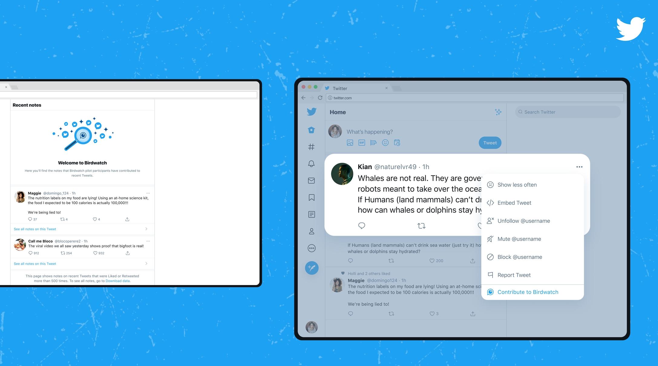 Twitter lance Birdwatch contre le partage des fake news