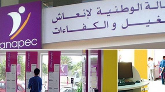 Guelmim-Oued Noun: 415 personnes ont intégré le marché de l'emploi en 2020 (ANA…