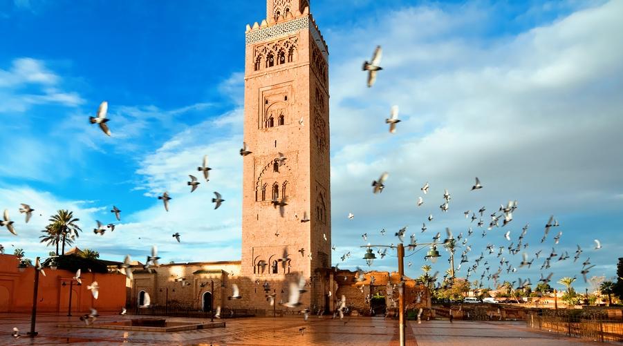 Covid-19 : le tourisme mondial a perdu 460 milliards de dollars au premier seme…