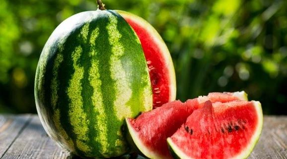 Culture de pastèque à Zagora : L'ONSSA dément l'usage de semences génétiquement…