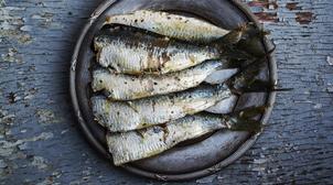 Recette-vidéo : Sardines au fenouil, une recette à tester !