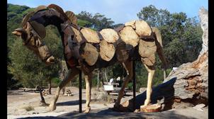 Et de 2 pour le Festival Land Art de Tanger-Tétouan-Al Hoceïma !
