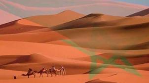 واشنطن"تواصل دعم المسار الأممي من أجل التوصل إلى حل عادل ودائم للنزاع الذي طا...