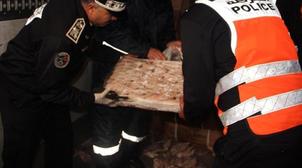 Tanger Med: Avortement de deux tentatives de trafic de 745 kg chira, deux inter…