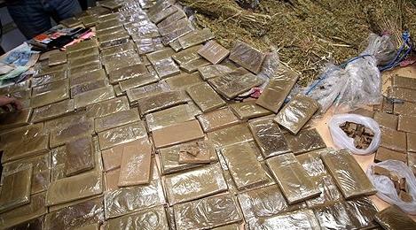 ضبط 13 طن من مخدر الشيرا داخل ضيعة فلاحية نواحي فاس