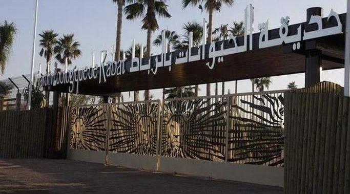 10ème anniversaire du Jardin Zoologique de Rabat : Barid Al-Maghrib émet un tim…