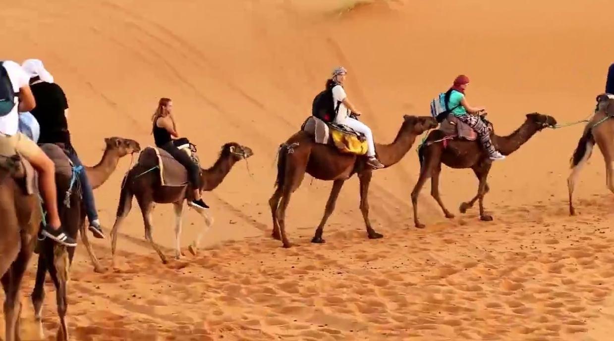 منظمة السياحة العربية: قطاع السياحة يحتاج 3 سنوات ليتعافى وهذا حجم تأثير الجائحة