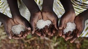 Urgence alimentaire pour plus de 3 millions de réfugiés dans l'est de l'Afrique…