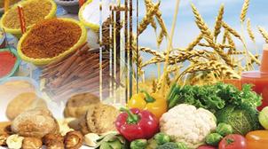 Agroalimentaire : La 3ème édition de "The FoodEshow" du 21 au 24 novembre