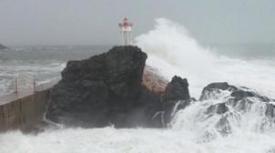 Tempête Gloria : la Direction de la météorologie nationale rassure