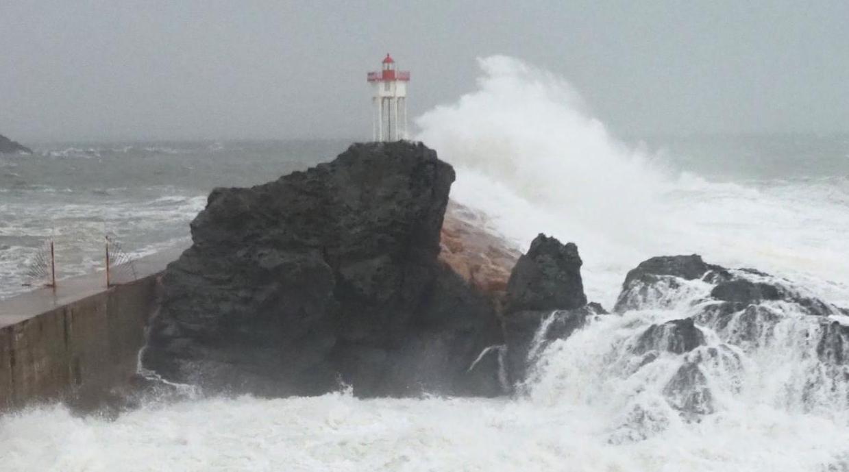 Tempête Gloria : la Direction de la météorologie nationale rassure