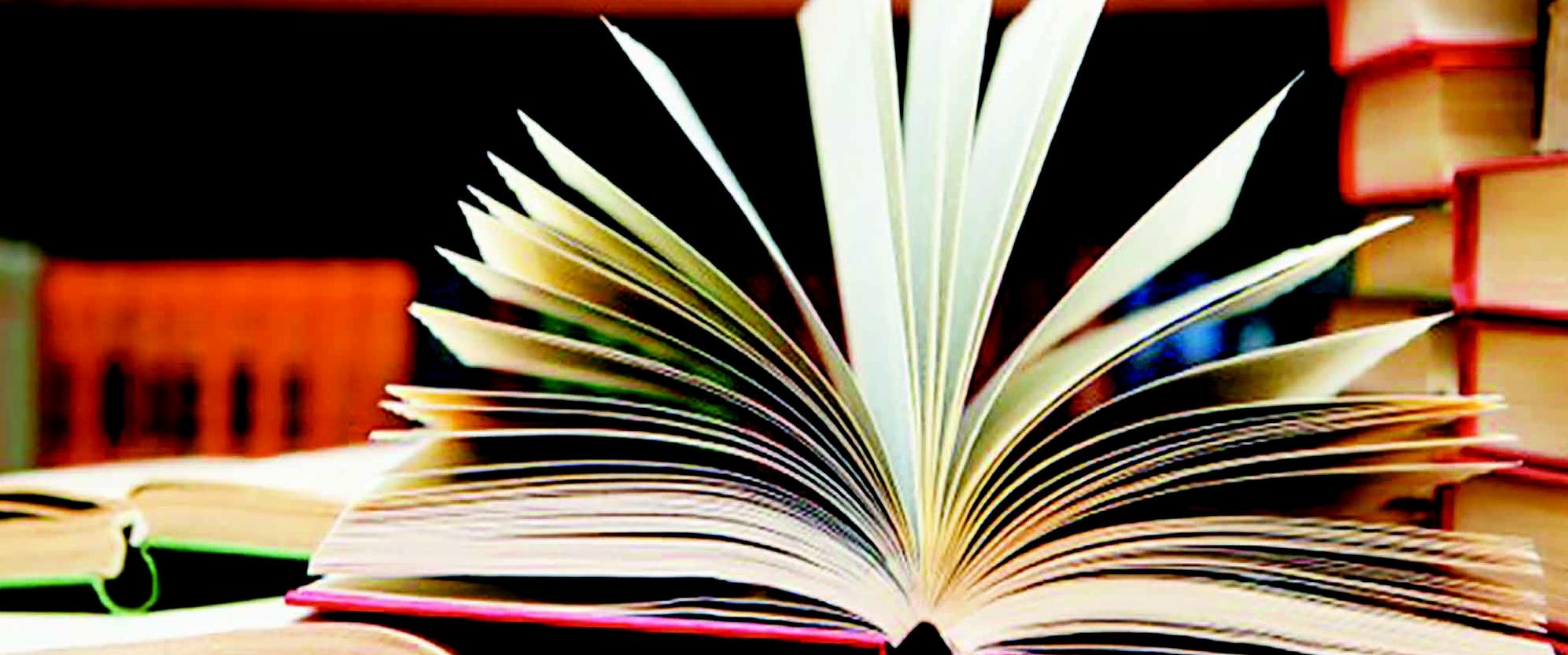 أكشاك القراءة بحدائق الدار البيضاء: الكتاب خير جليس في الزمان والمكان