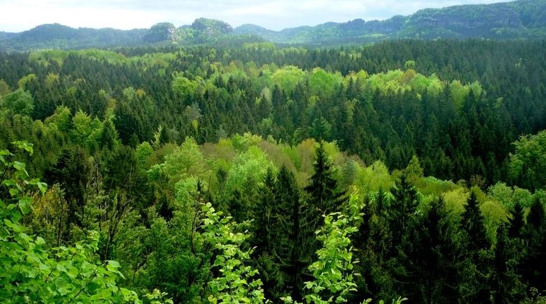 Environnement : la FAO appelle à l'intensification des efforts de restauration …