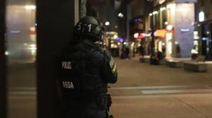 Fusillades à Vienne: Plusieurs blessés et probablement des morts (médias)