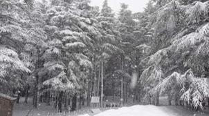 Bulletin spécial: Fortes pluies, rafales de vent et chutes de neige annoncées p…