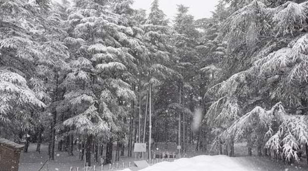 Chutes de neige, temps froid, rafales de vent et fortes pluies, de vendredi à d…