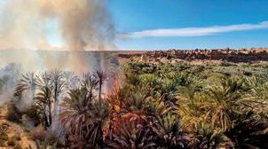 Chtouka-Ait Baha: L'incendie de "l’oasis de Targa" totalement maîtrisé