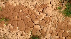 "Restore Africa Soils", un dispositif scientifique dédié au suivi de la cartogr…