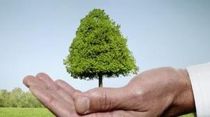 Post-Covid :Les pays africains appelés à privilégier les questions climatiques,…