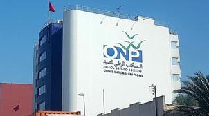 Pêche maritime : L'ONP poursuivra la modernisation de la commercialisation des …