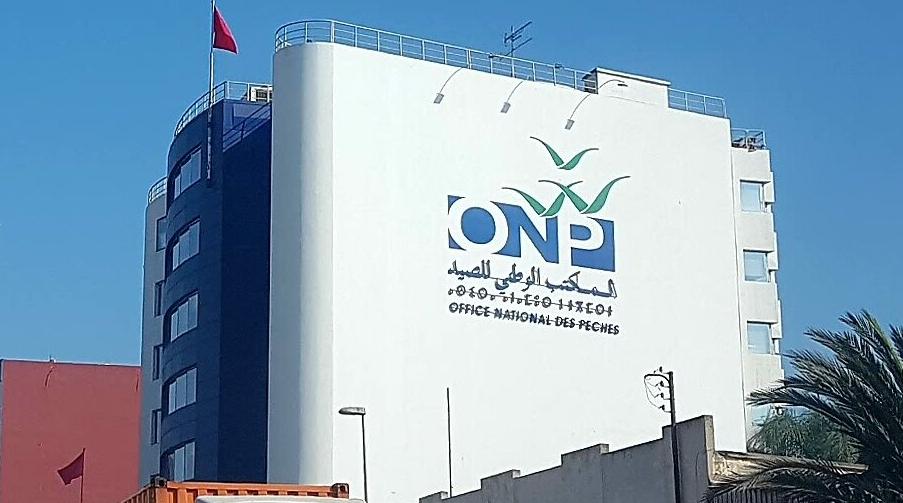 Pêche maritime : L'ONP poursuivra la modernisation de la commercialisation des …