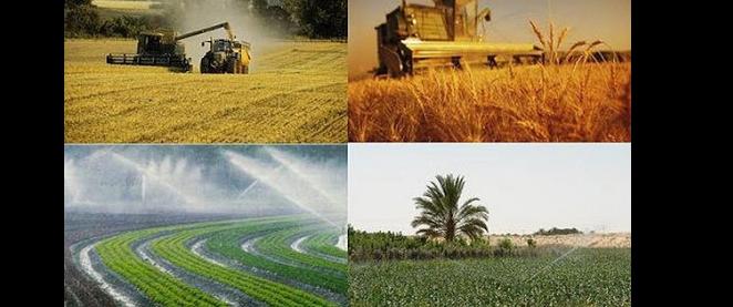 مشروع قانون مالية 2022..تنمية المجال القروي والمناطق الجبلية