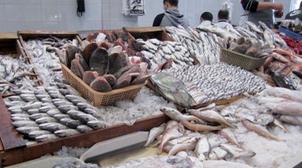 Tan-Tan : La valeur des débarquements de poissons dépasse les 526 MDH en 2020