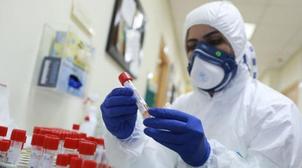Maroc/Covid-19: Le dépistage massif vise une reprise "dans les meilleures condi…