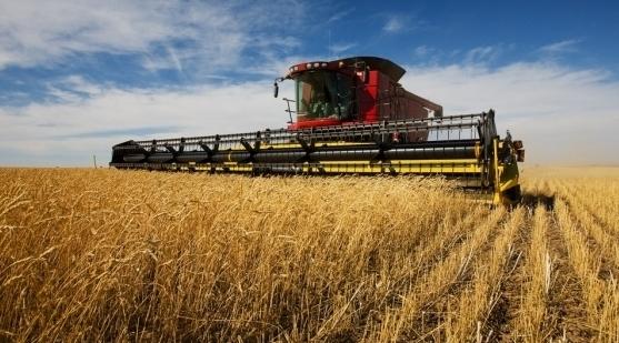 Maroc/Campagne céréalière: Des mesures incitatives à la commercialisation de la…