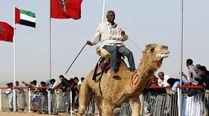 Guelmim : Réouverture du plus grand marché aux dromadaires du Sud marocain