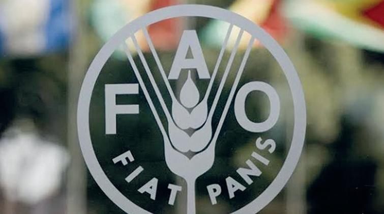 FAO: Plus de 44 pays auront besoin d'une aide alimentaire extérieure, la majori…