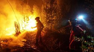 Espagne : Plus de 2.500 hectares de forêt ravagés par les feux en deux jours en…