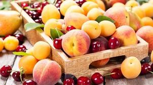 Agro-alimentaire: Bonnes performances des exportations en 2021 (ministère)