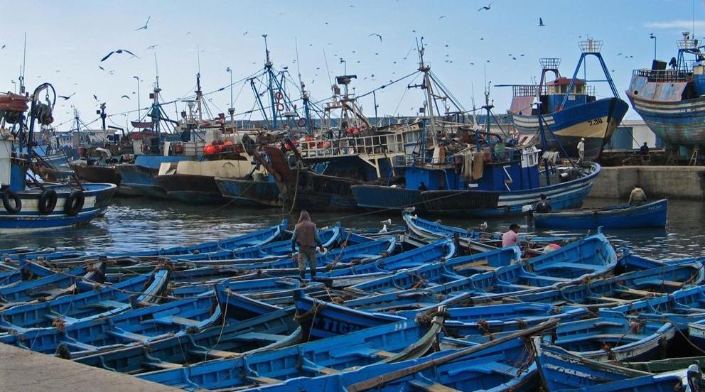 Essaouira : Une exposition collective célèbre "l'art des Mogadoriens"