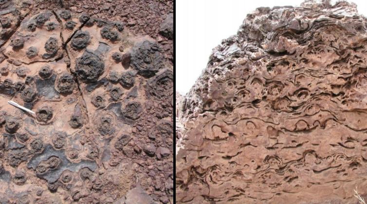 Maroc: Découverte d’une vie microbienne extrémophile en milieux confinés datant…