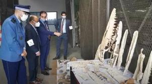 Casablanca : La Douane avorte une tentative d'exportation illicite de près de 2…
