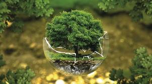 Maroc/Entrepreneuriat verte: Lancement du concours "Green Start-up"