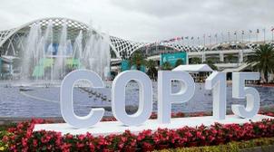 Biodiversité: Coup d'envoi de la COP15 en Chine