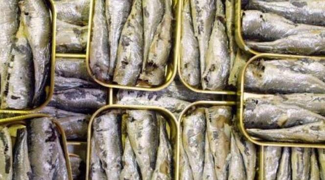 مصنّعو مصبرات الأسماك أمام أزمة غير مسبوقة .. ارتفاع التكاليف وضغط على المنتوج...