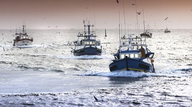 Safi : hausse de 29% en valeur des produits de la pêche côtière et artisanale à…
