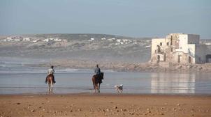 Eco-village Sidi Kaouki : 38 projets d'investissements sélectionnés pour 360 M…