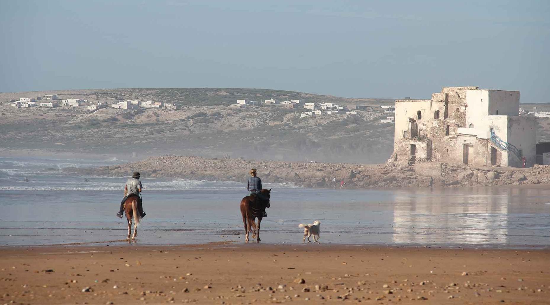 Eco-village Sidi Kaouki : 38 projets d'investissements sélectionnés pour 360 M…