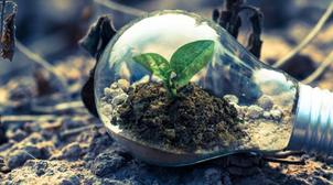 Deux startups marocaines finalistes de ClimateLaunchpad Morocco