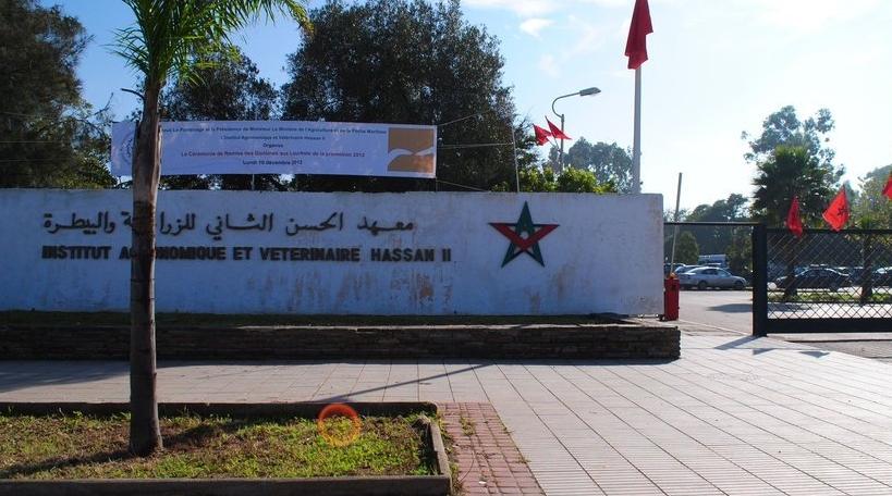 Rabat/IAV : les étudiants refusent une rentrée en distanciel "imposée" par l’ad…