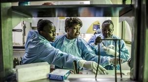 La résistance aux antimicrobiens menace le secteur agroalimentaire (FAO)