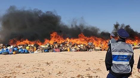 Plus de 20 tonnes de chira incinérées à Dakhla