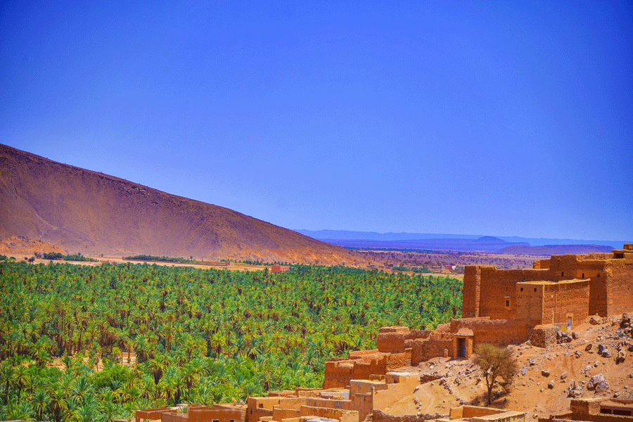 Lancement par l’AESVT d’un projet pérennisant les écosystèmes des oasis à Tata …