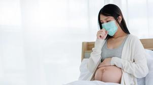 Covid: Pas de complications pendant la grossesse avec les vaccins ARNm, rassure…